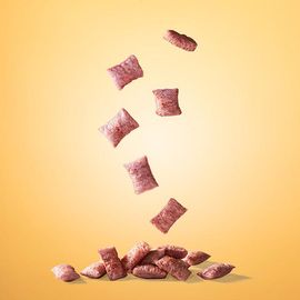 [ARK] Woofny Dog Crunch Sweet Potato_Dog Treats, Synbiotics, Gut Total Solution, Fructooligosaccharide, Hydrolyzed Protein_Made in Korea